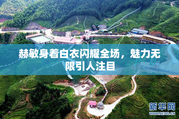 赫敏身着白衣闪耀全场，魅力无限引人注目