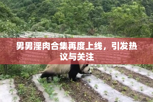 男男淫肉合集再度上线，引发热议与关注