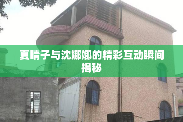 夏晴子与沈娜娜的精彩互动瞬间揭秘