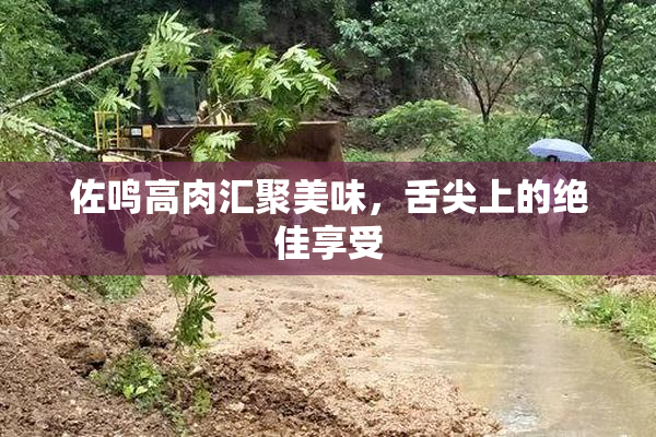 佐鸣高肉汇聚美味，舌尖上的绝佳享受