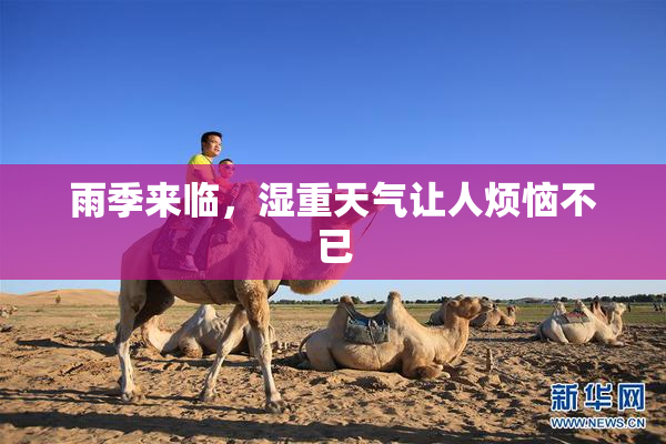 雨季来临，湿重天气让人烦恼不已