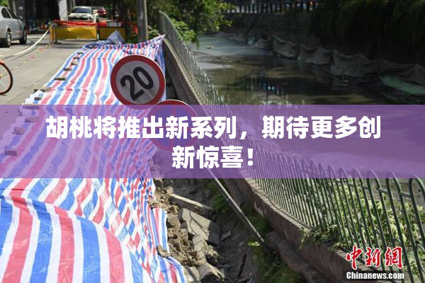 胡桃将推出新系列，期待更多创新惊喜！