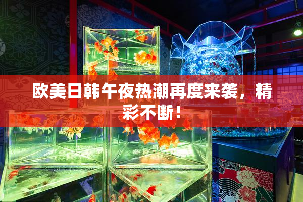 欧美日韩午夜热潮再度来袭，精彩不断！