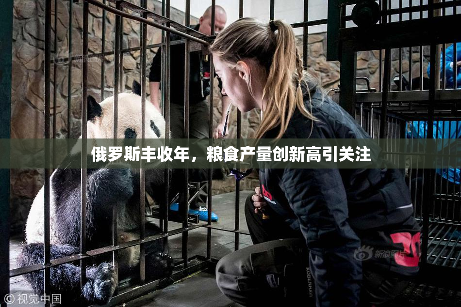 俄罗斯丰收年，粮食产量创新高引关注