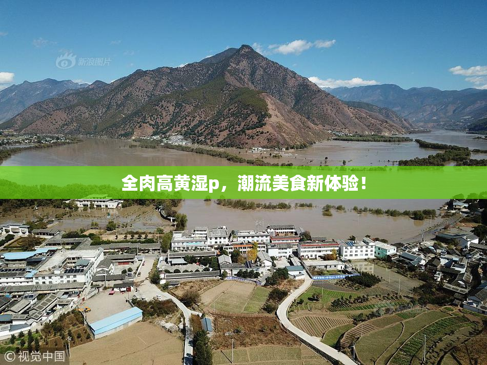 全肉高黄湿p，潮流美食新体验！
