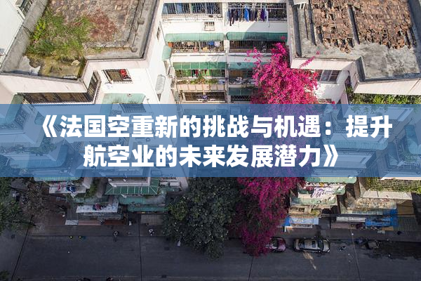 《法国空重新的挑战与机遇：提升航空业的未来发展潜力》