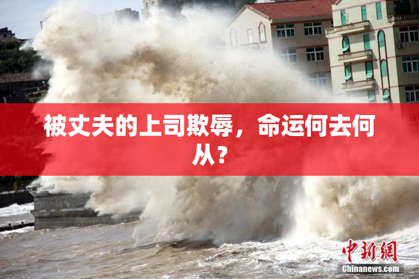 被丈夫的上司欺辱，命运何去何从？