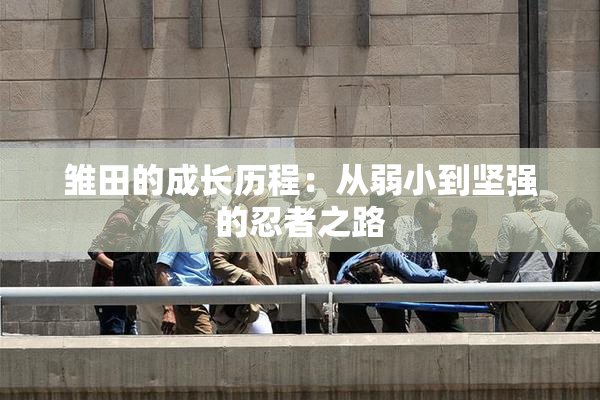 雏田的成长历程：从弱小到坚强的忍者之路