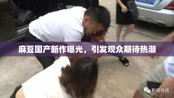 麻豆国产新作曝光，引发观众期待热潮