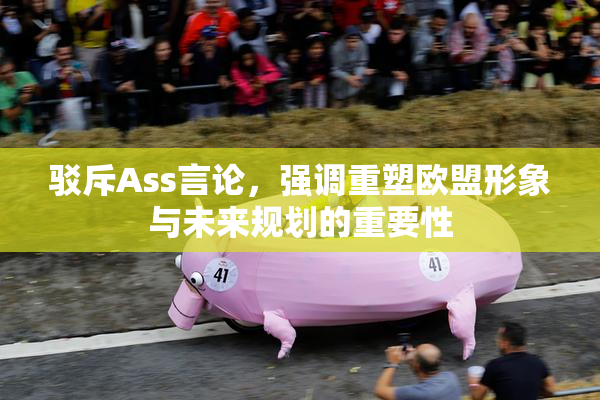 驳斥Ass言论，强调重塑欧盟形象与未来规划的重要性