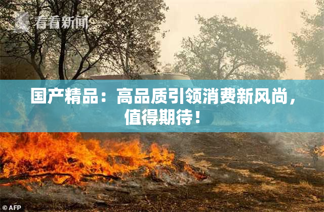 国产精品：高品质引领消费新风尚，值得期待！