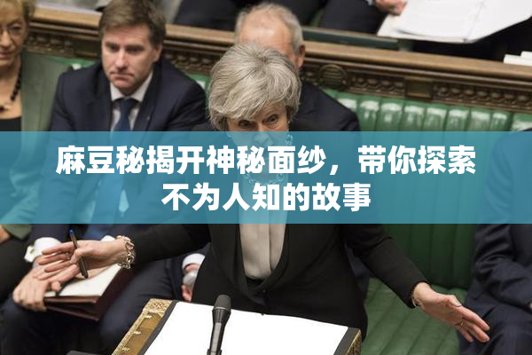 麻豆秘揭开神秘面纱，带你探索不为人知的故事