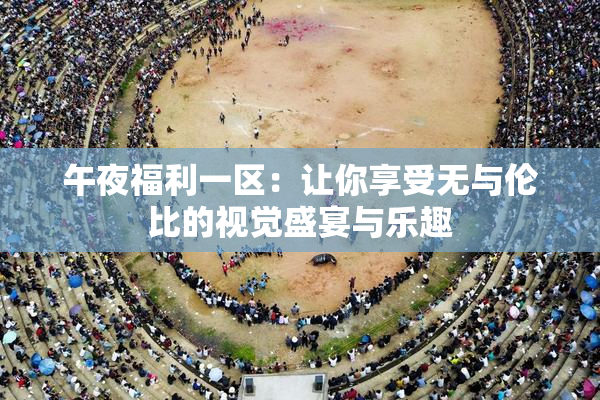 午夜福利一区：让你享受无与伦比的视觉盛宴与乐趣