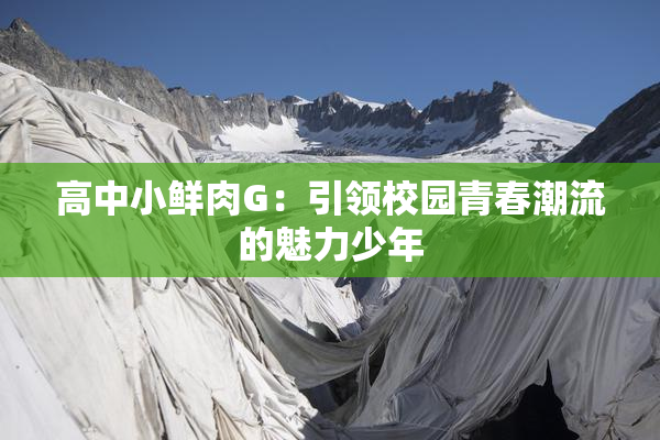 高中小鲜肉G：引领校园青春潮流的魅力少年
