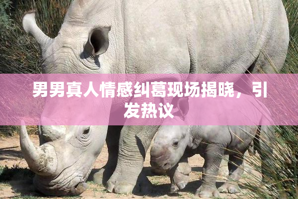 男男真人情感纠葛现场揭晓，引发热议