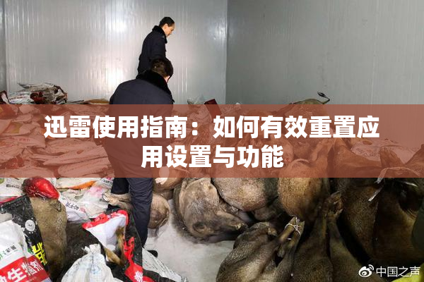 迅雷使用指南：如何有效重置应用设置与功能
