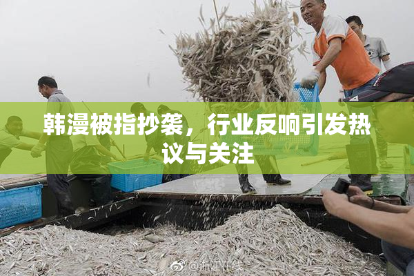 韩漫被指抄袭，行业反响引发热议与关注