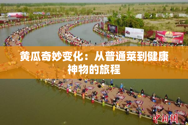 黄瓜奇妙变化：从普通菜到健康神物的旅程