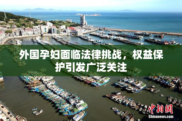 外国孕妇面临法律挑战，权益保护引发广泛关注