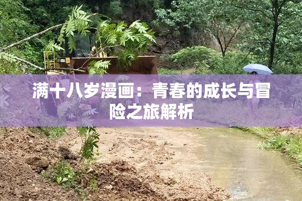 满十八岁漫画：青春的成长与冒险之旅解析