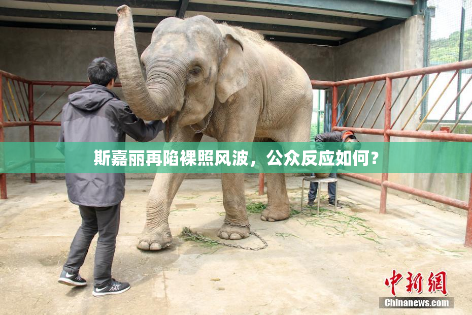 斯嘉丽再陷裸照风波，公众反应如何？