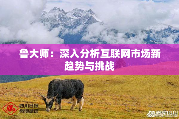 鲁大师：深入分析互联网市场新趋势与挑战