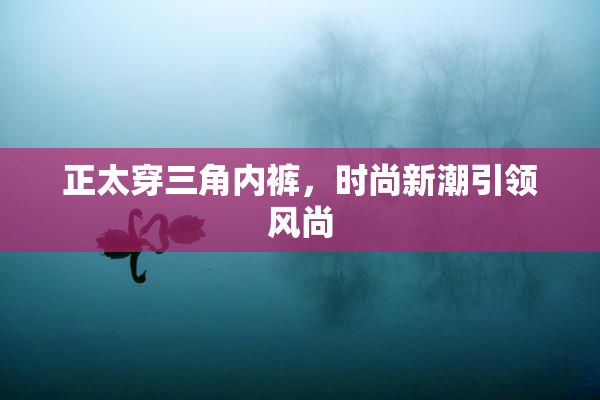 正太穿三角内裤，时尚新潮引领风尚