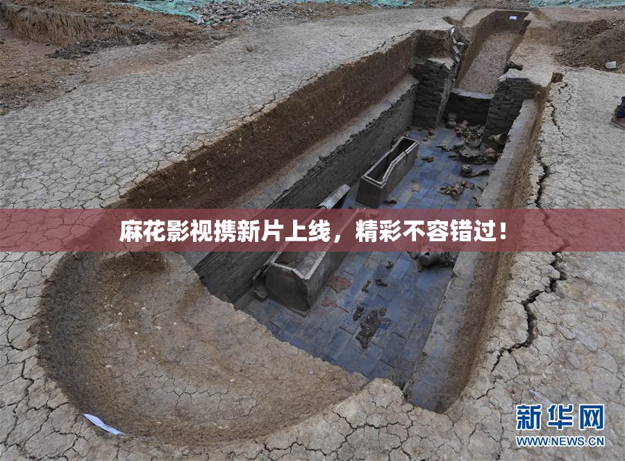 麻花影视携新片上线，精彩不容错过！
