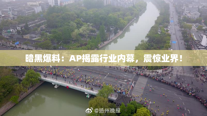 暗黑爆料：AP揭露行业内幕，震惊业界！