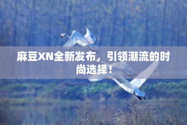 麻豆XN全新发布，引领潮流的时尚选择！