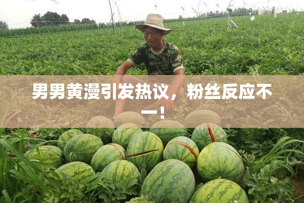 男男黄漫引发热议，粉丝反应不一！