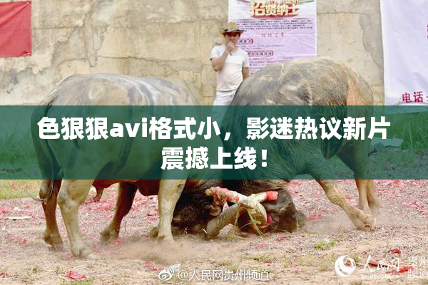 色狠狠avi格式小，影迷热议新片震撼上线！