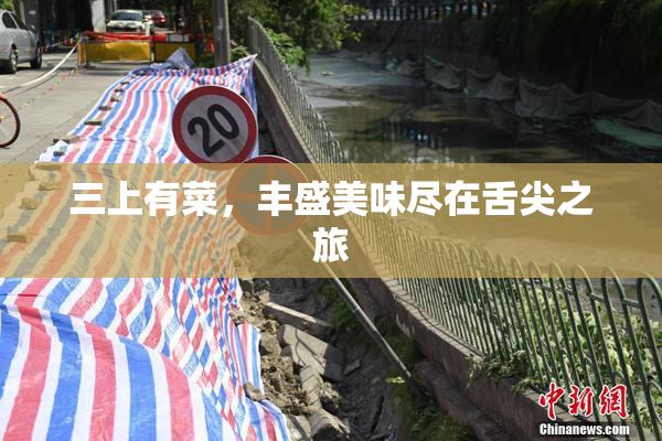 三上有菜，丰盛美味尽在舌尖之旅