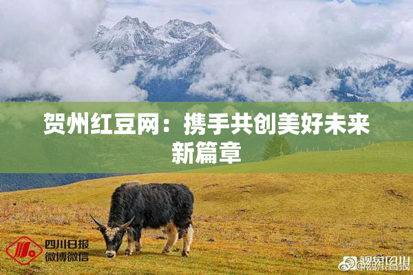 贺州红豆网：携手共创美好未来新篇章