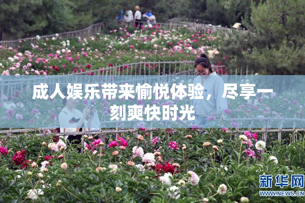 成人娱乐带来愉悦体验，尽享一刻爽快时光