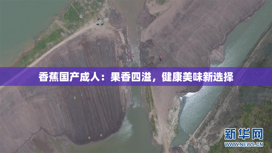 香蕉国产成人：果香四溢，健康美味新选择
