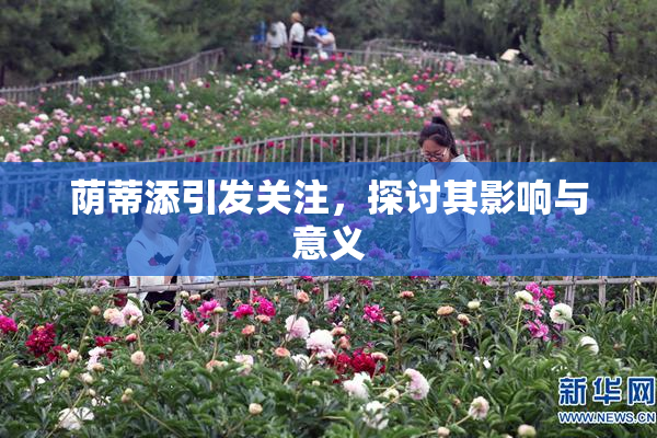 荫蒂添引发关注，探讨其影响与意义