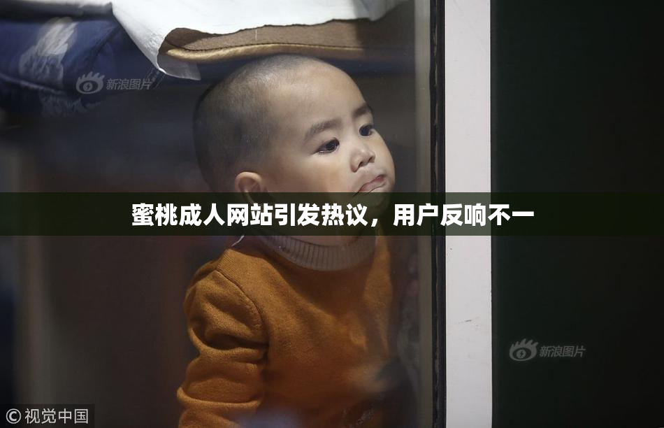 蜜桃成人网站引发热议，用户反响不一