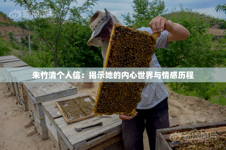 朱竹清个人信：揭示她的内心世界与情感历程
