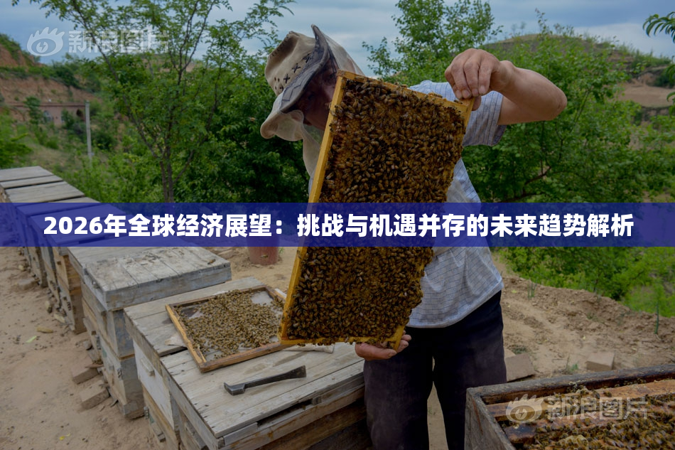 2026年全球经济展望：挑战与机遇并存的未来趋势解析