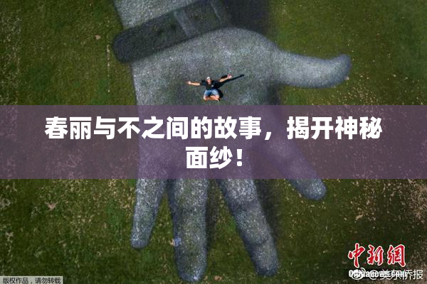 春丽与不之间的故事，揭开神秘面纱！