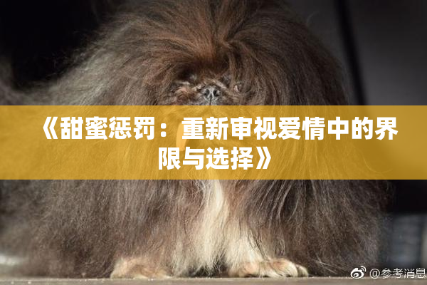 《甜蜜惩罚：重新审视爱情中的界限与选择》