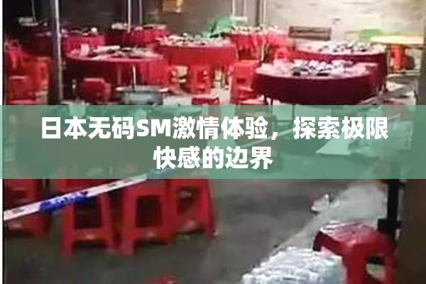 日本无码SM激情体验，探索极限快感的边界