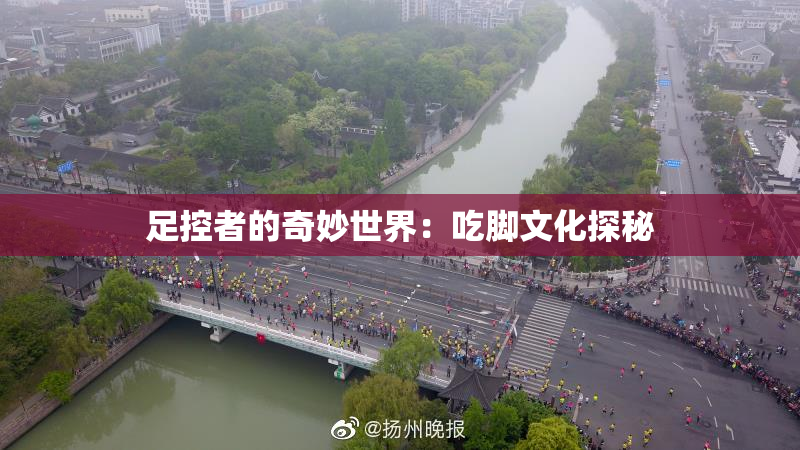 足控者的奇妙世界：吃脚文化探秘
