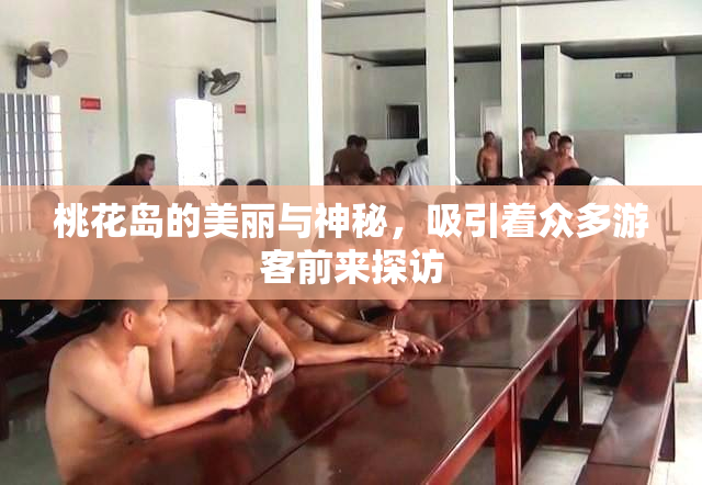 桃花岛的美丽与神秘，吸引着众多游客前来探访