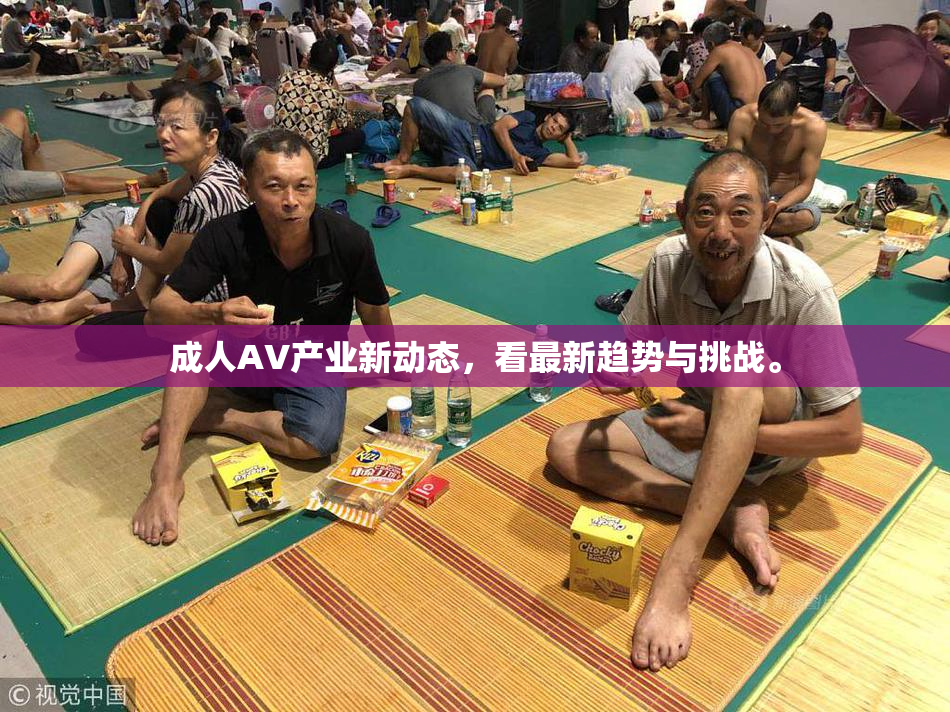 成人AV产业新动态，看最新趋势与挑战。