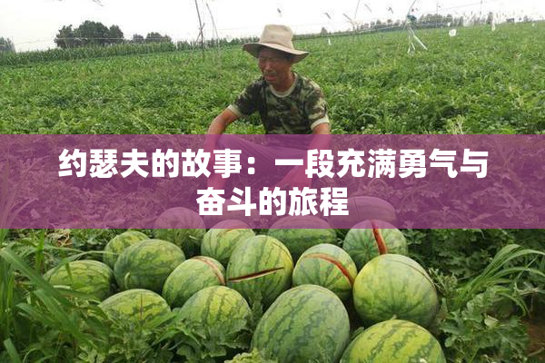 约瑟夫的故事：一段充满勇气与奋斗的旅程