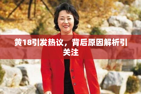 黄18引发热议，背后原因解析引关注