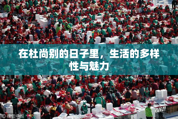 在杜尚别的日子里，生活的多样性与魅力