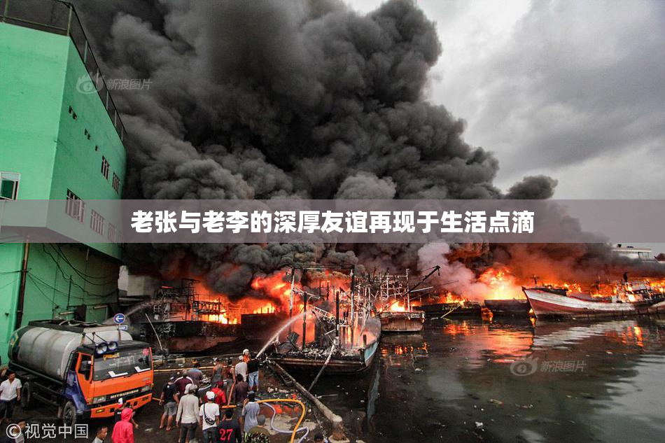 老张与老李的深厚友谊再现于生活点滴